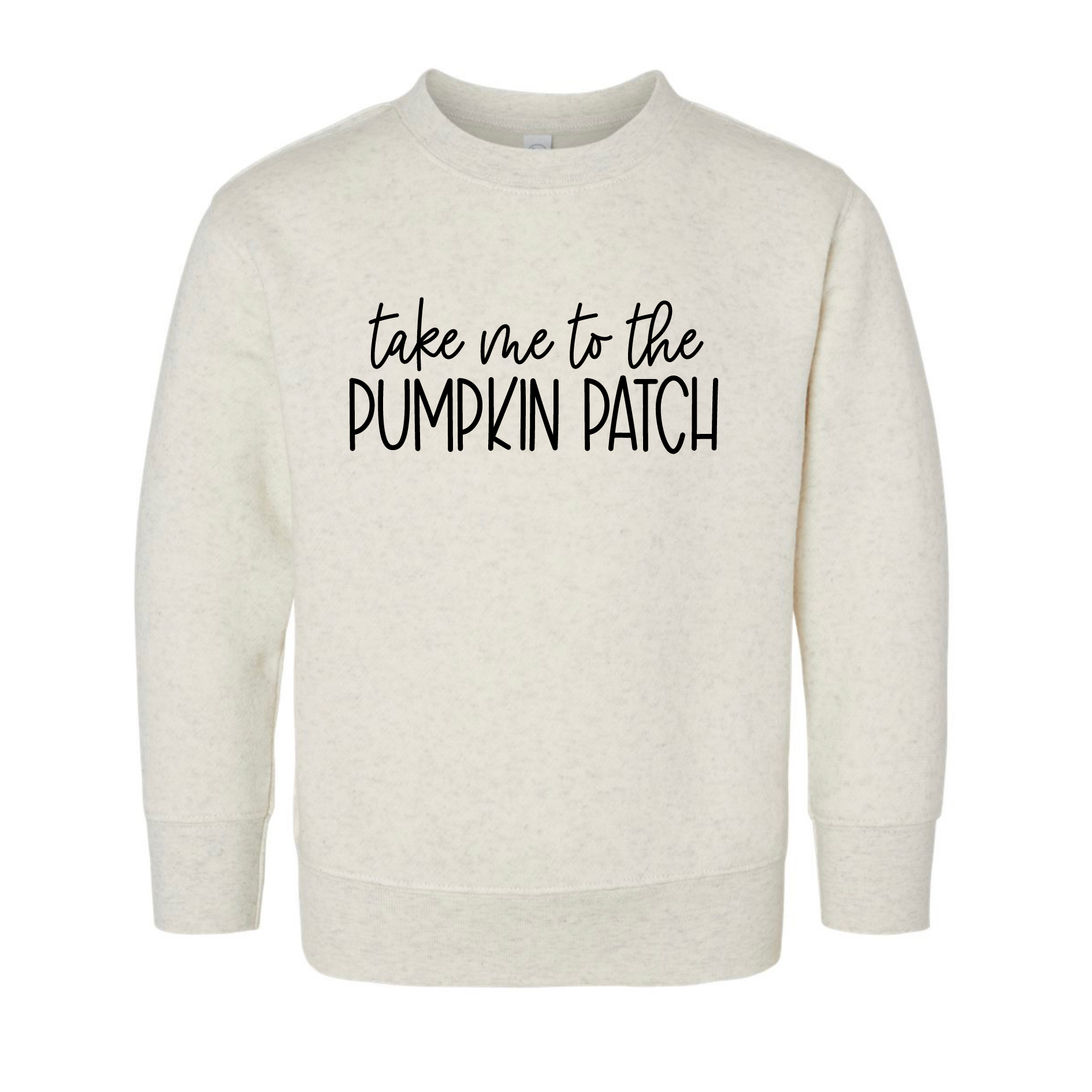 Take me to the pumpkin patch - youth sweatshirt